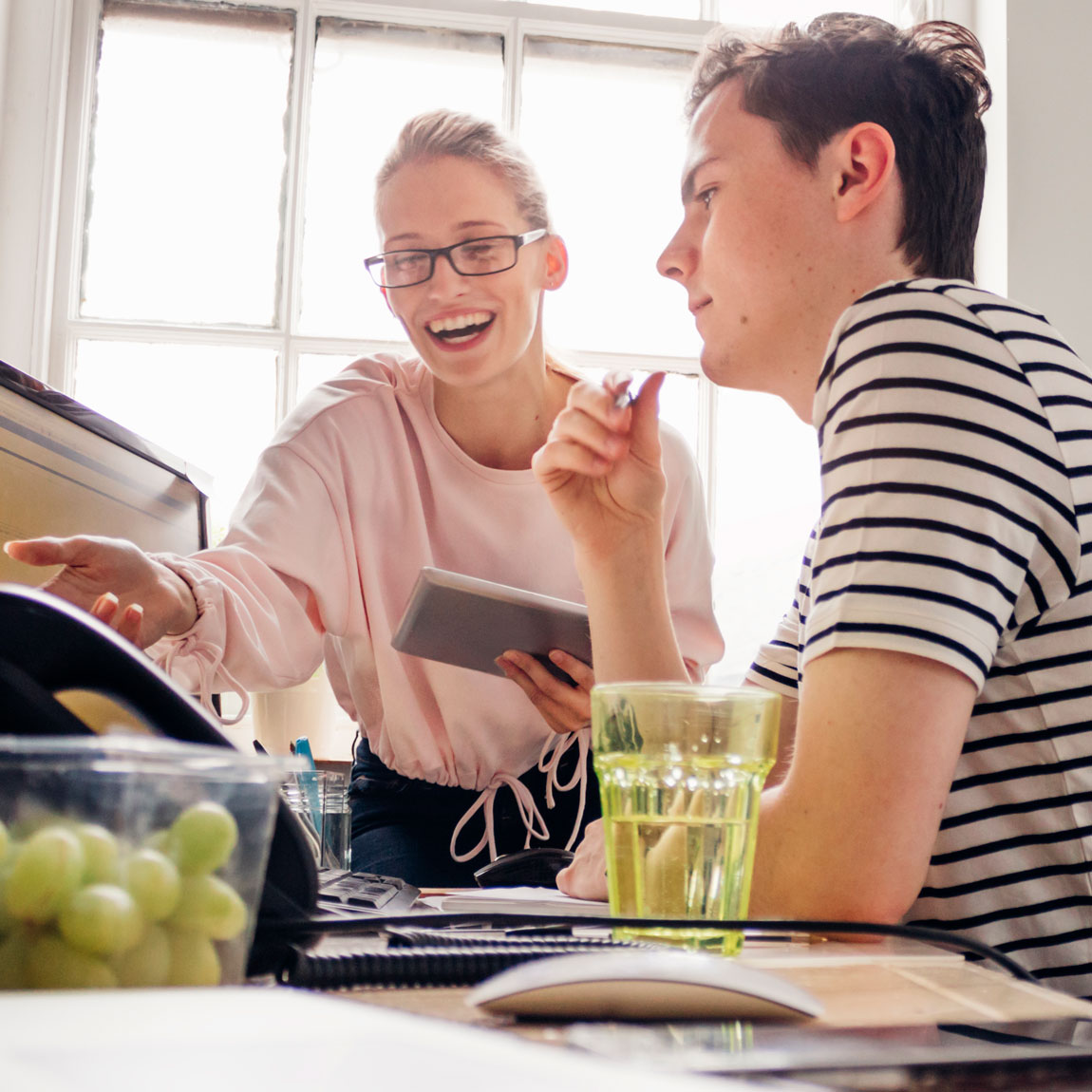 Door wie wordt de Company Check gedaan?